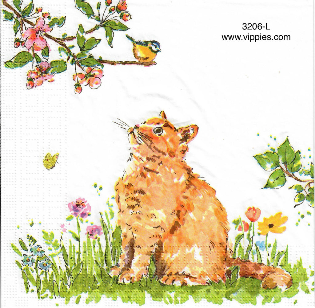 ANIM-3206-L Kitten Robin Napkin for Decoupage
