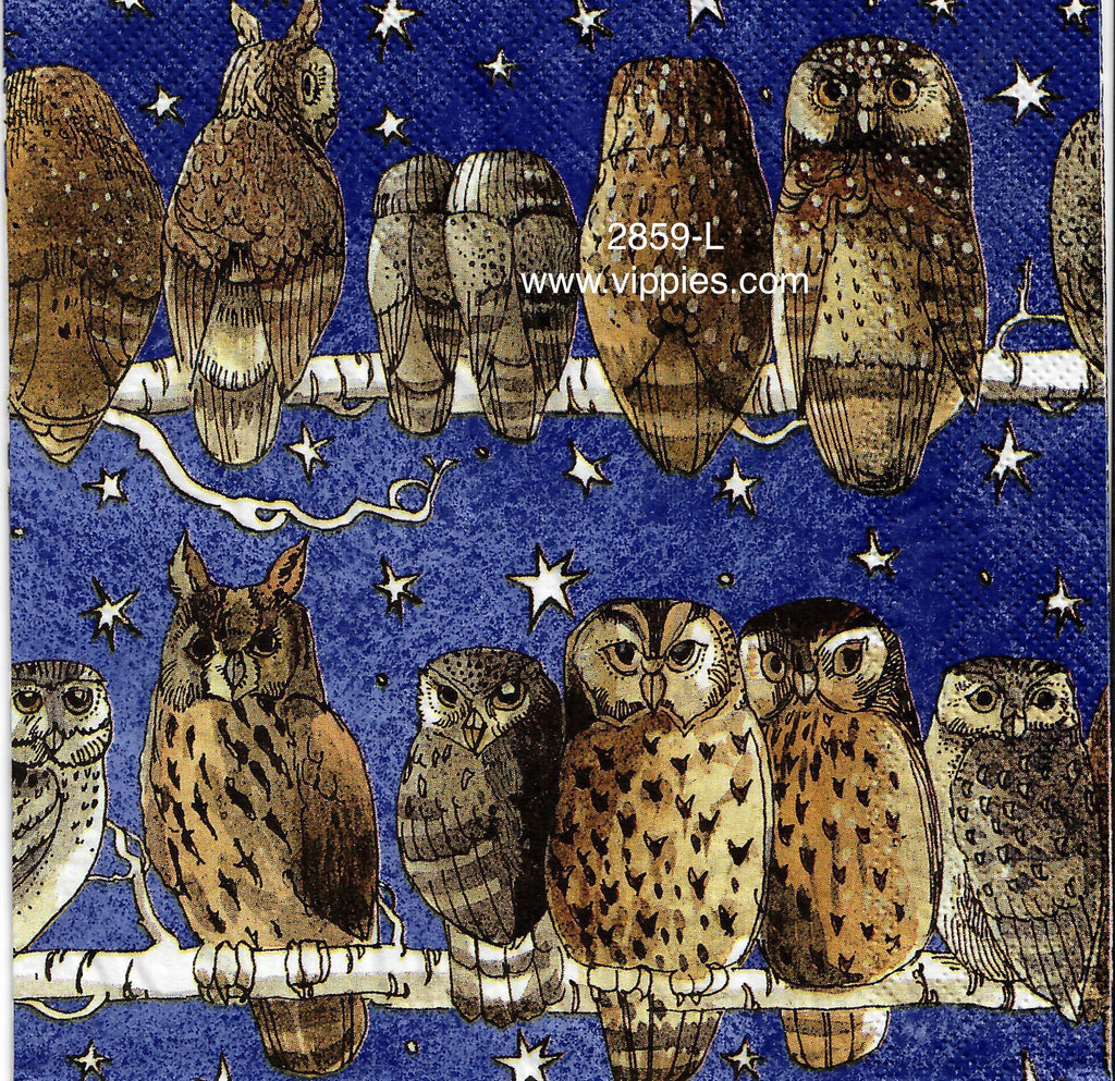 BB-2859-L Branch of Owls Napkin for Decoupage