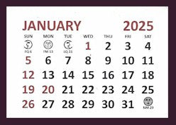 Medium 2025 Self-Stick Calendar Pads