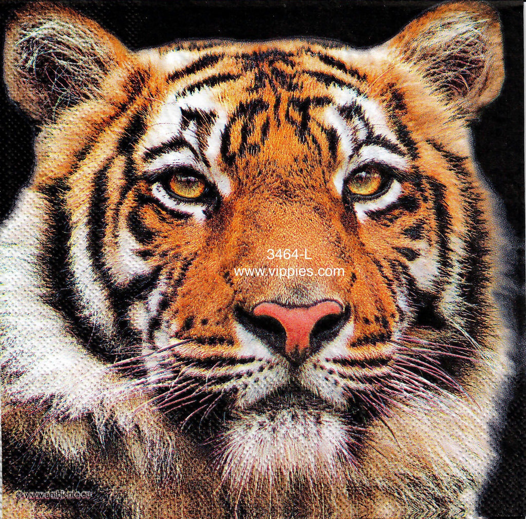 ANIM-3464-L Tiger Head Napkin for Decoupage