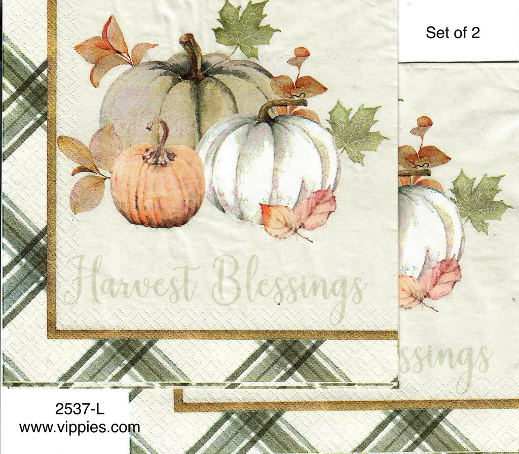 AT-2537-L-S Set of 2 Harvest Blessing Pumpkins Napkin for Decoupage