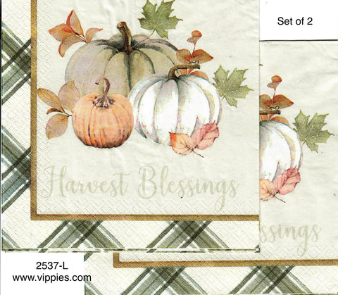 AT-2537-L-S Set of 2 Harvest Blessing Pumpkins Napkin for Decoupage