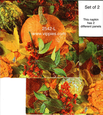 AT-2542-L-S Set of 2 Real Pumpkin Gourds Napkin for Decoupage