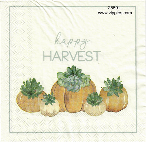 AT-2550-L Happy Harvest Pumpkins Succulents Napkin for Decoupage