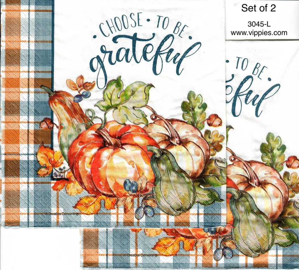 AT-3045-L-S Set of 2 Choose to Be Pumpkins Napkin for Decoupage