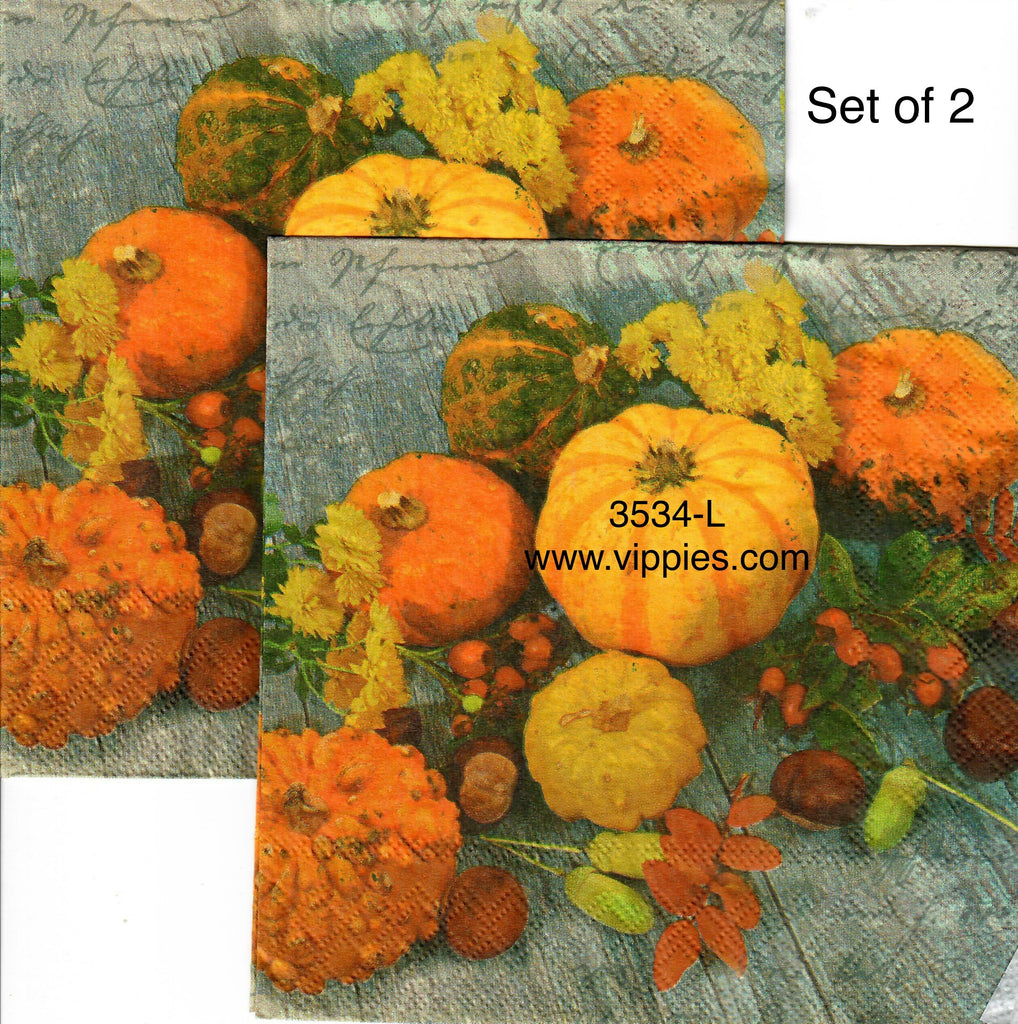 AT-3534-L-S Set of 2 Pumpkins Gourds Berries Napkin for Decoupage