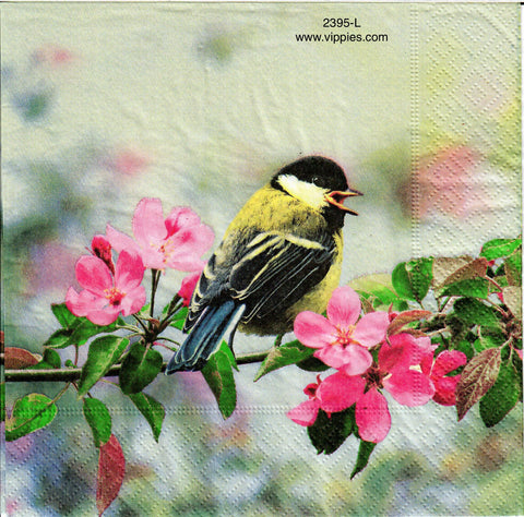 BB-2395-L Singing Bird Apple Blossom Napkin for Decoupage