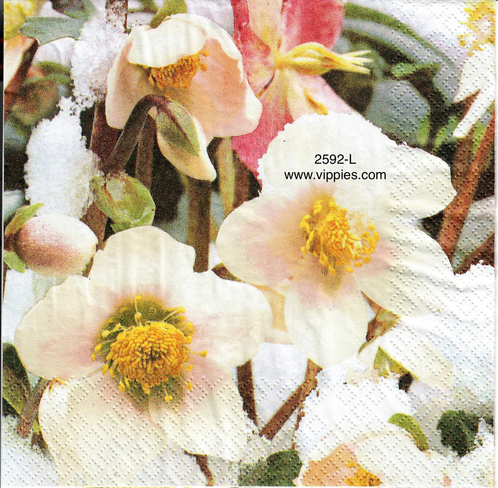 C-2592-L Snow Roses Napkin for Decoupage