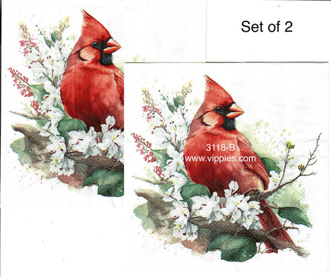 C-3118-B-S Set of 2 Cardinal Flowers Beverage Napkin for Decoupage