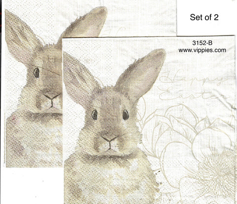 EAST-3152-B-S Set of 2 Light Brown Bunny Happy Easter Napkin for Decoupage