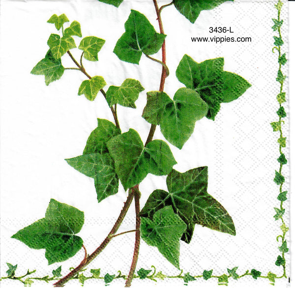FL-3436-L Ivy Vines Napkin for Decoupage