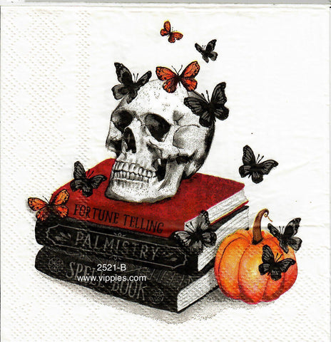 HWN-2521-B Skull on Books Napkin for Decoupage