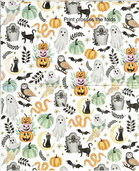 HWN-3520-B-S Set of 2 Animal Halloween Print Napkin for Decoupage