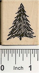 Pine #1 Rubber Stamp 2142D