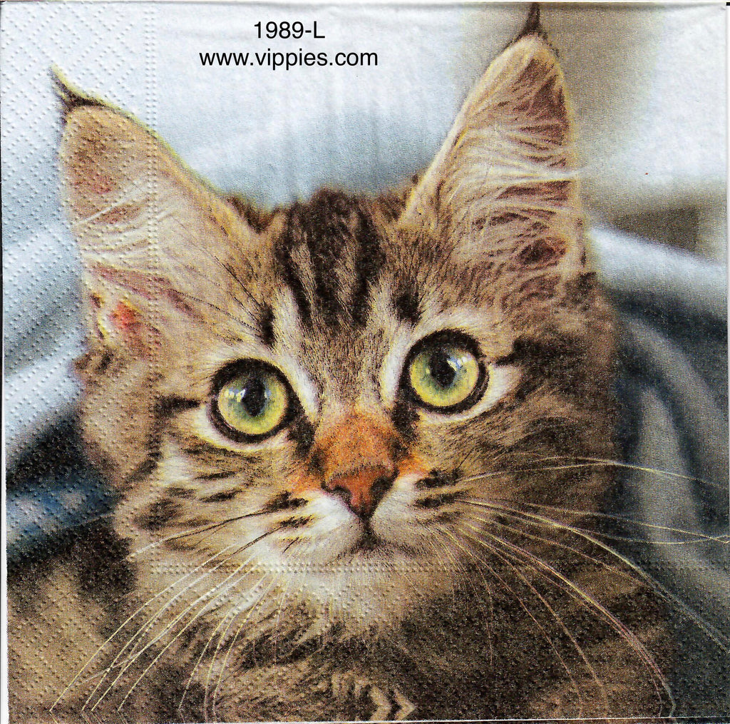 ANIM-1989 Real Kitten Head Napkin for Decoupage