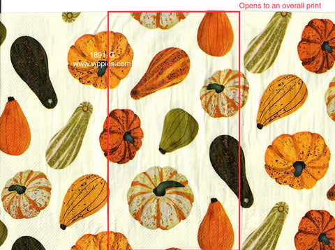 AT-1891 Gourds Guest Napkin for Decoupage