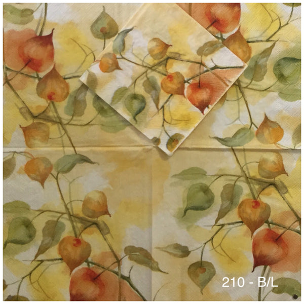 AT-210 Vines and Figs Napkin for Decoupage