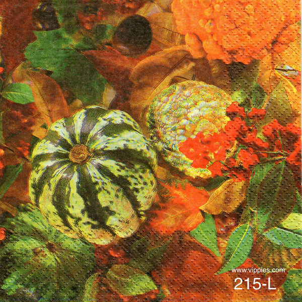 AT-215 Pumpkin Gourds Group Napkin for Decoupage