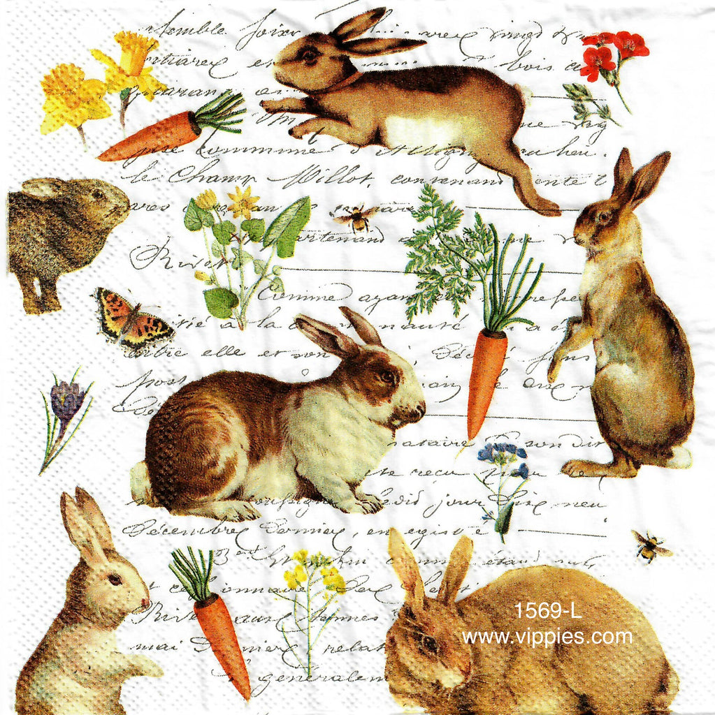 EAST-1569-L Rabbit Collage Words Napkin for Decoupage