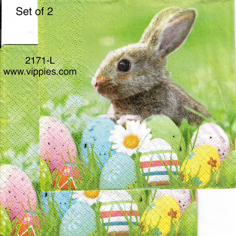 EAST-2171-L-S Set of 2 Real Bunny Eggs Luncheon Napkins for Decoupage
