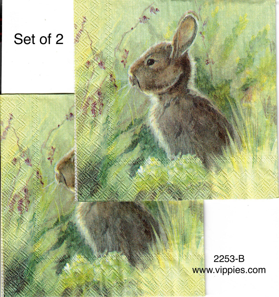 EAST-2253-B-S Set of 2 Bunny Grass Napkins for Decoupage