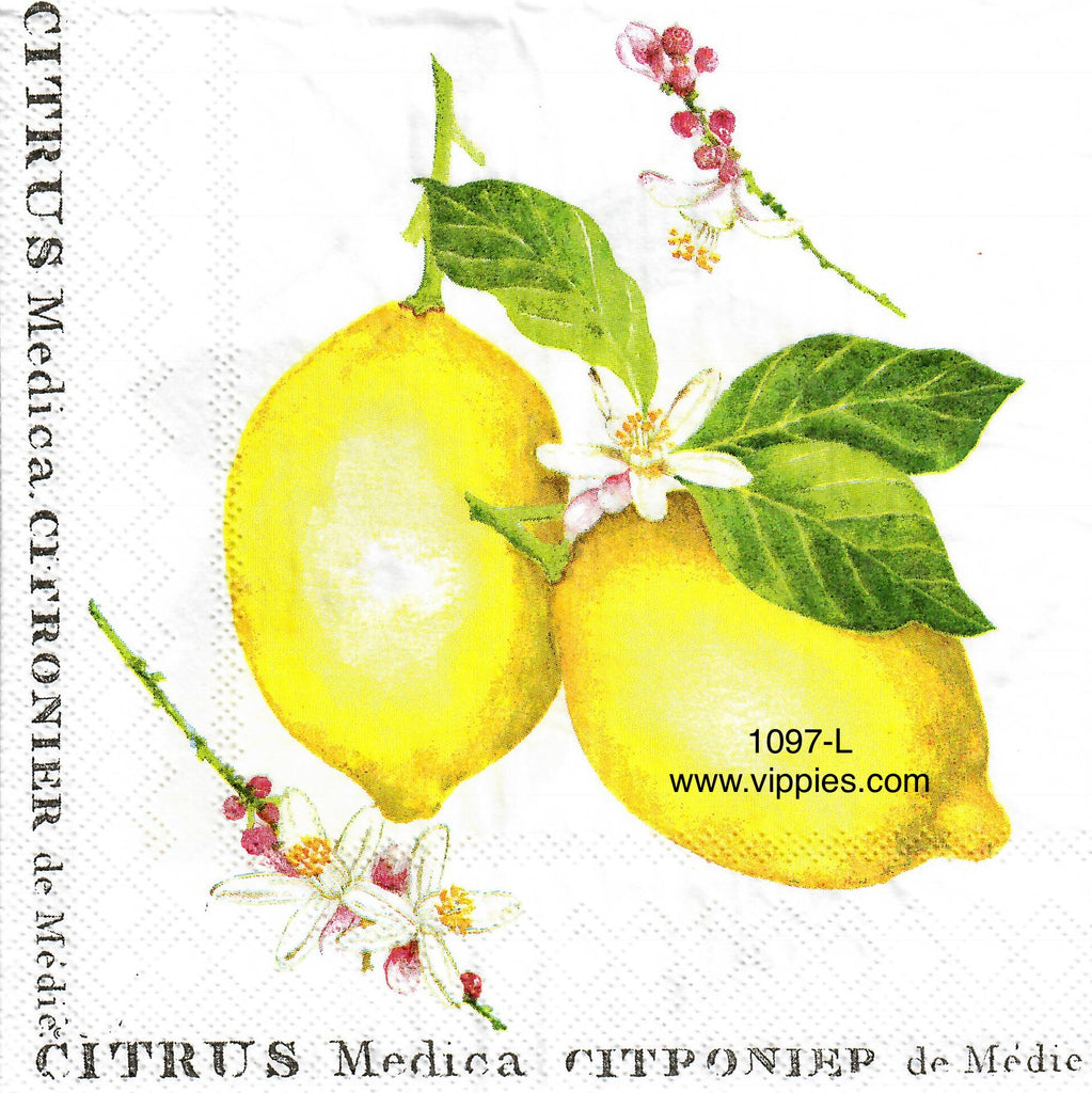 FD-1097 Large Citrus Lemons Napkin for Decoupage