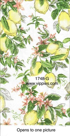 FD-1748-G Lemon Vines Guest Napkin for Decoupage