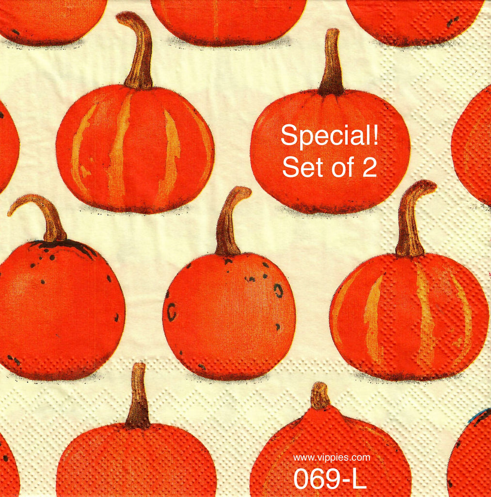 HWN-069-S Set of 2 Pumpkin Background Napkins for Decoupage